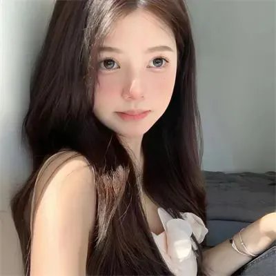 白鸥啊 不要飞起来