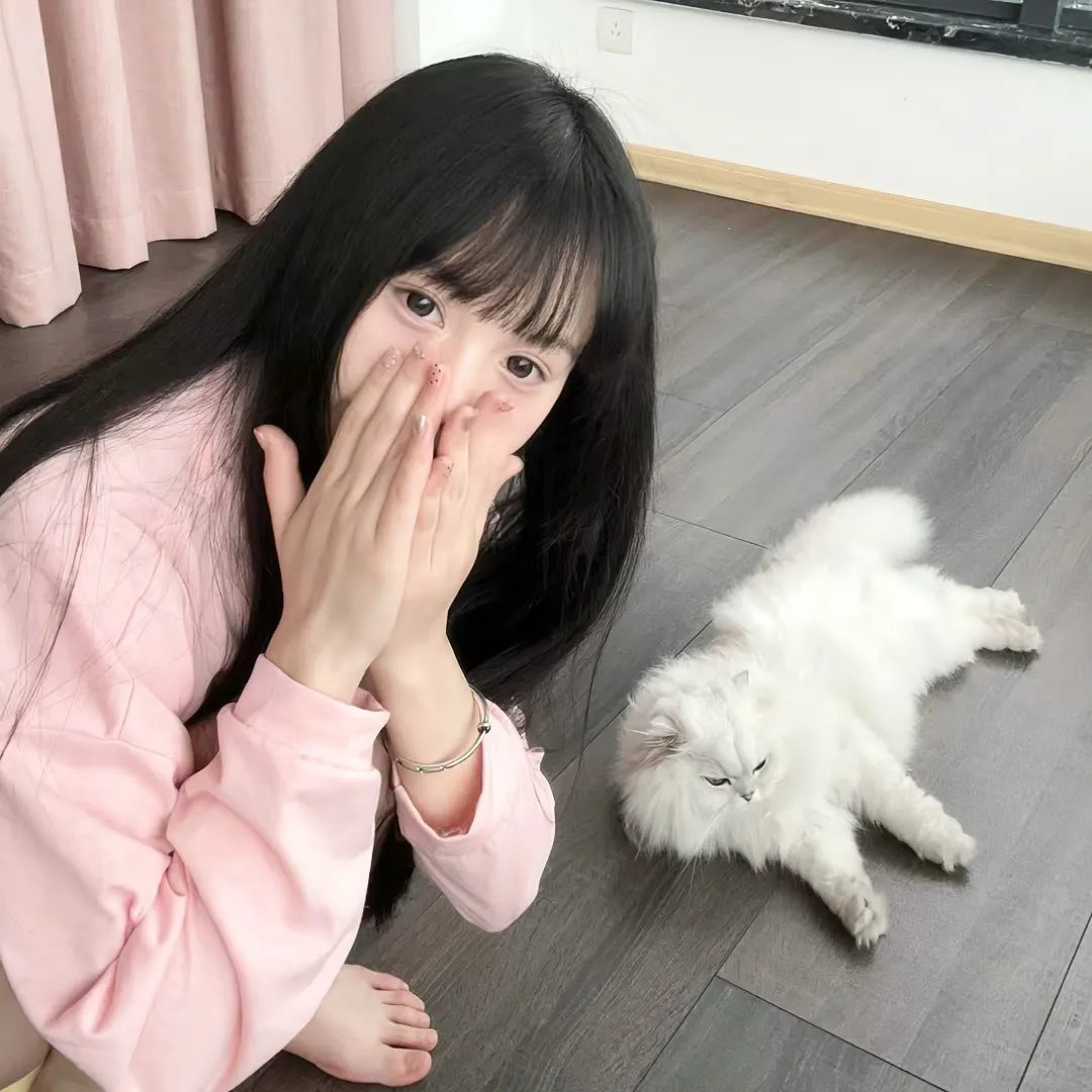 后备计划